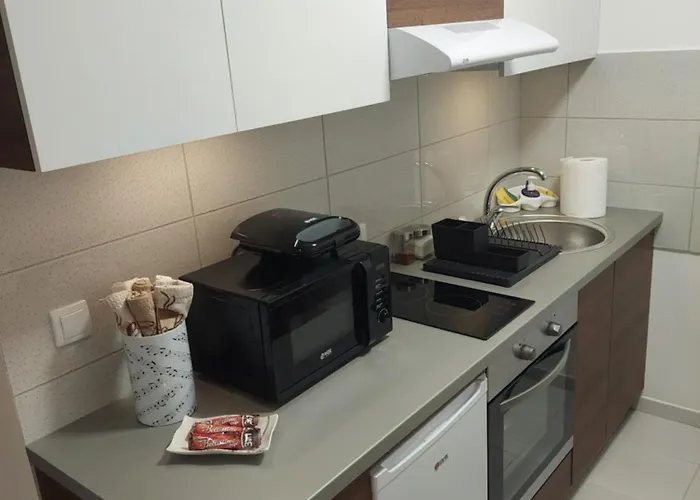 Διαμέρισμα Muzika *